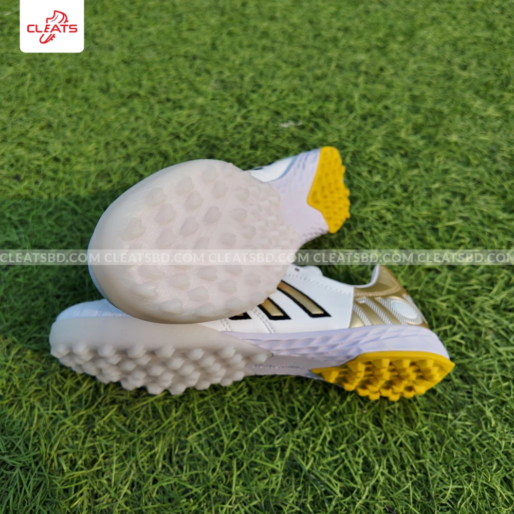 main_image_1740327623_7926.webp